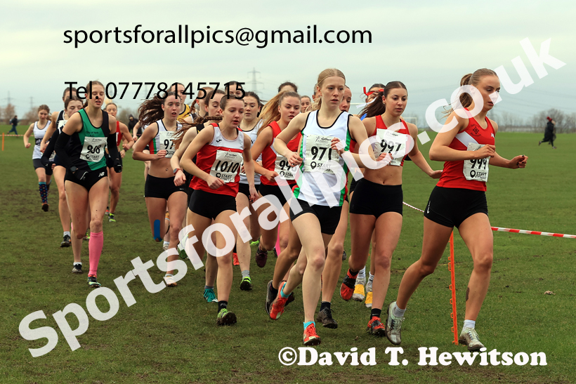 Junior Womens 2026 Northern Cross Country Champs., Pontefract Racecourse, Pontefract. Photo: David T. Hewitson/Sports for All Pics